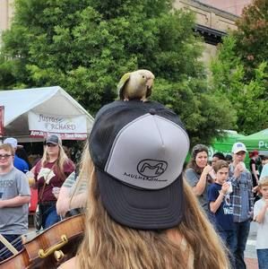 Meet your Posher, Sharon